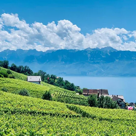 Pensjonat #lavaux Lutry