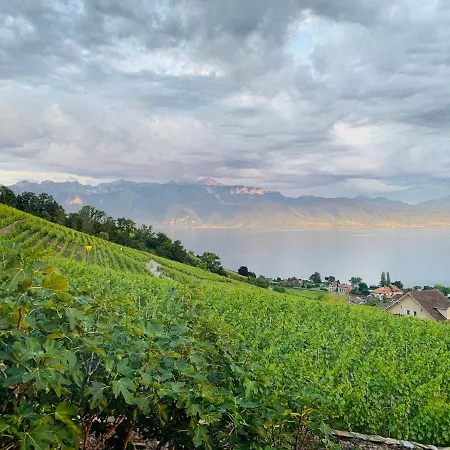 #lavaux * Lutry
