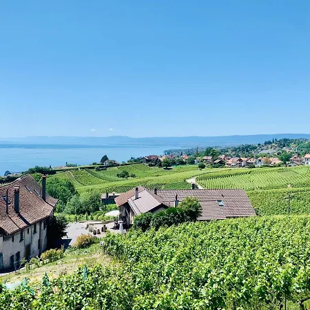 #lavaux Pensjonat *