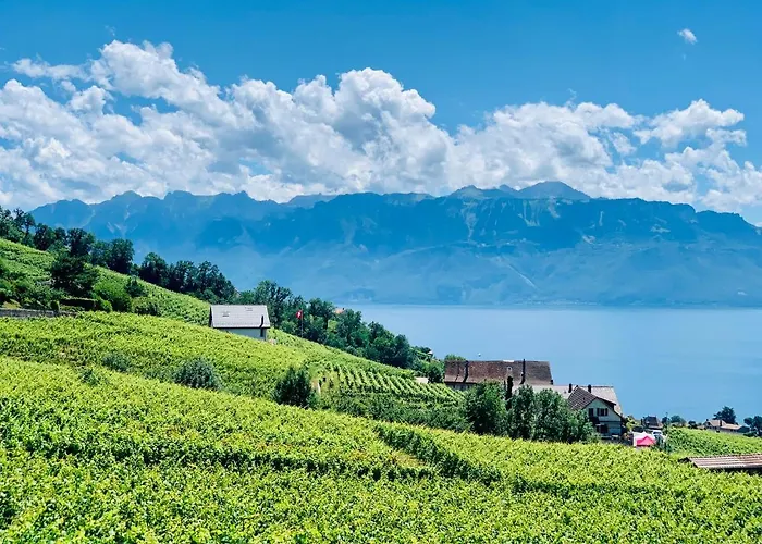 Pensión #lavaux Lutry