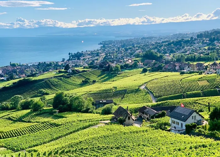 Pensión #lavaux