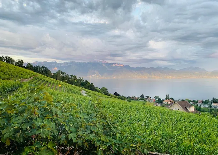 #lavaux 3* Lutry