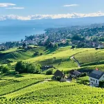 Pensjonat #lavaux