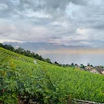 #lavaux 3* Lutry