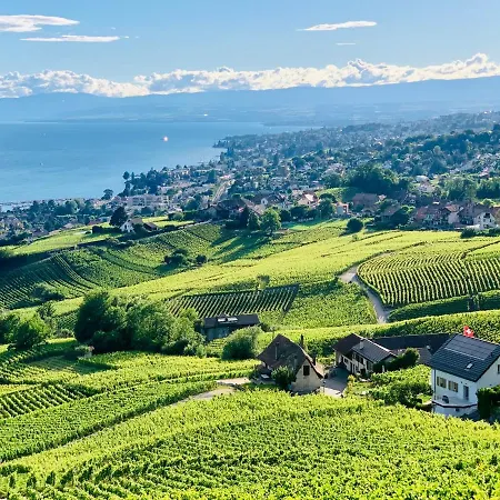 ゲストハウス #lavaux