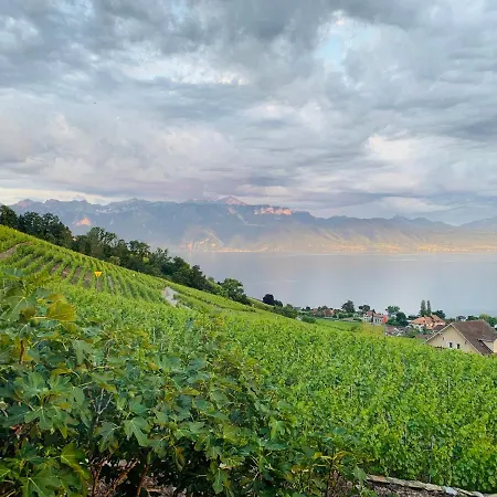 #lavaux 3* リュトリー