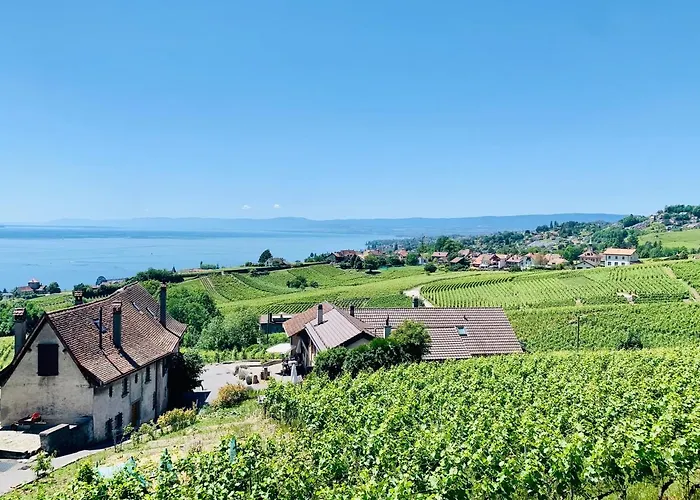 #lavaux Pensjonat 3*